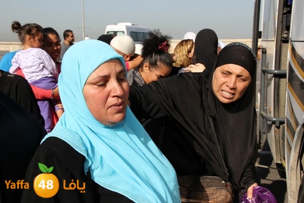 7ojaj yaffa arrive 1022 (11).JPG